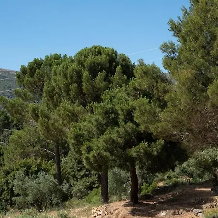 Vakantiehuis El Molar By Ruralidays