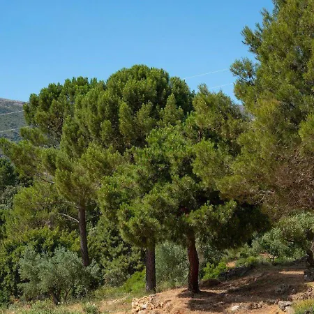 Holiday home El Molar By Ruralidays *
