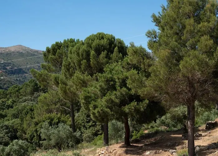 Vakantiehuis El Molar By Ruralidays